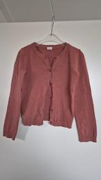 Vestje Hema, oud roze, maat 122/128, Kinderen en Baby's, Kinderkleding | Maat 122, Gebruikt, Meisje, Trui of Vest, Ophalen of Verzenden