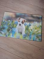 Bureau Onderlegger - hond, Minder dan 50 cm, 50 tot 100 cm, Wit, Nieuw