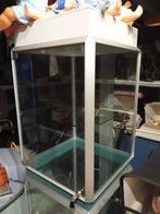 Vitrinekasten 3x, Ophalen, 50 tot 75 cm, 50 tot 100 cm, Minder dan 100 cm