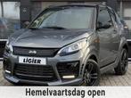 Ligier Brommobiel JS50 C Sport Ultimate Orig NL Pioneer Came, Gebruikt, Ligier