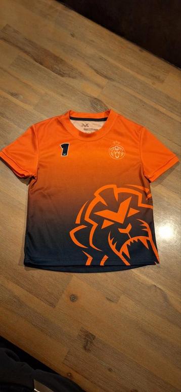 Max Verstappen Shirt Maat 116 - ZGAN beschikbaar voor biedingen