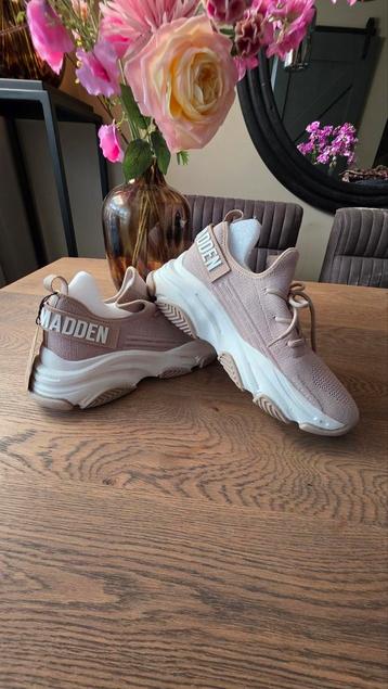Nieuwe Steve Madden sneakers - Maat 42 beschikbaar voor biedingen
