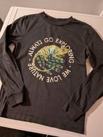 Donkergrijs shirt kameleon 134-140, Kinderen en Baby's, Kinderkleding | Maat 134, Ophalen, Gebruikt, H&M, Shirt of Longsleeve