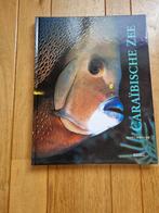 Caraïbische Zee / Kurt Amsler / 9789062488964 / vissen, Boeken, Natuur, Gelezen, Ophalen of Verzenden, Overige onderwerpen