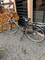 Batavus Mambo Damesfiets - Frame 53, 7 Versnellingen, Fietsen en Brommers, Ophalen, Versnellingen, Batavus, 53 tot 56 cm