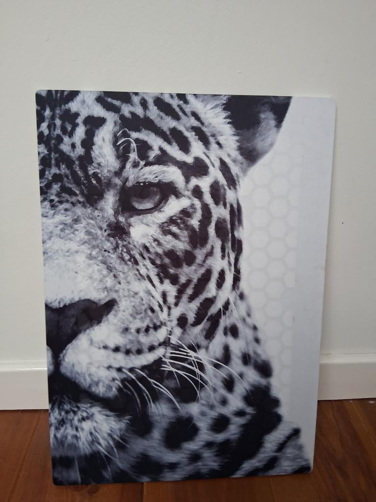 IKEA Cheeta Poster, Huis en Inrichting, Woonaccessoires | Lijsten, Overige materialen, 50 tot 75 cm, Ophalen of Verzenden, Zo goed als nieuw