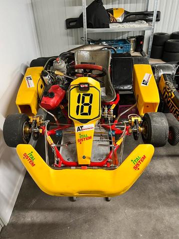 KZ Mari MK4 shifter kart