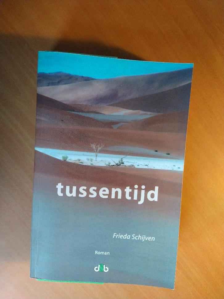 Schijven, Frieda. Tussentijd, Boeken, Literatuur, Zo goed als nieuw, Ophalen of Verzenden