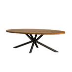 Ovale Tafel met Metalen voet, Huis en Inrichting, Tafels | Eettafels, Ophalen, 100 tot 150 cm, Ovaal, Met Metalen voet