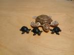 Playmobil schildpadden set 9071, Kinderen en Baby's, Speelgoed | Playmobil, Ophalen, Zo goed als nieuw, Complete set