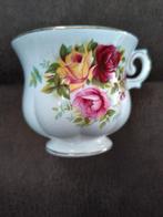 Kopje Royal Canterbury, Ophalen of Verzenden, Zo goed als nieuw, Porselein, Kop en/of schotel