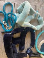 Leuke set; 2x halster, 1x neckrope, 1x touw,1x oornetje, Dieren en Toebehoren, Ophalen of Verzenden, Zo goed als nieuw, Overige soorten