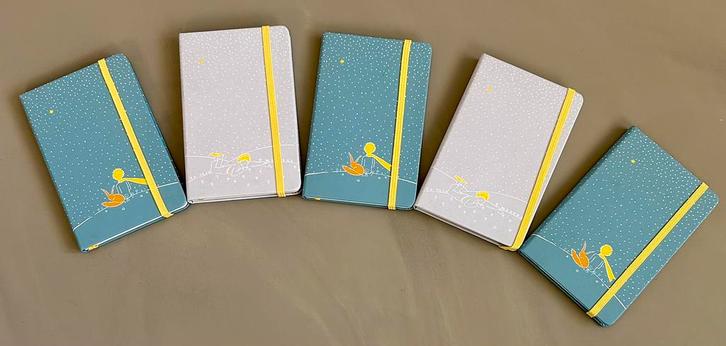 Le petit prince Moleskine A6, Diversen, Schrijfwaren, Nieuw, Ophalen of Verzenden