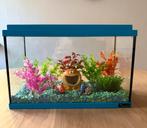 Aquarium Aquatlantis blauw 35 x 18 x 23,5 cm, Dieren en Toebehoren, Ophalen, Gebruikt, Leeg aquarium
