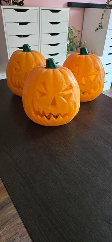 Halloween decorations  beschikbaar voor biedingen