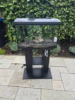 Compleet aquarium met onderkast en toebhoren, Ophalen of Verzenden, Zo goed als nieuw, Gevuld zoetwateraquarium