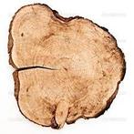 Gratis - Hout (Coniferen & Taxus), Ophalen of Verzenden, Zo goed als nieuw, Overige houtsoorten, Minder dan 200 cm