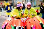 Loopgroep Duo Speldenkussens Carnaval, Kleding | Dames, Carnavalskleding en Feestkleding, Carnaval, Zo goed als nieuw, Kleding