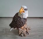 Adelaar beeld - Decoratief, Ophalen, Zo goed als nieuw, Kunststof, Dierenbeeld