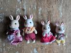 Konijnen familie sylvanian families, Ophalen of Verzenden, Zo goed als nieuw, Poppenhuis