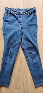 Spijkerbroek-look Mondoni rijbroek, maat 38, Ophalen of Verzenden, Zo goed als nieuw, Dressuur, Onderkleding