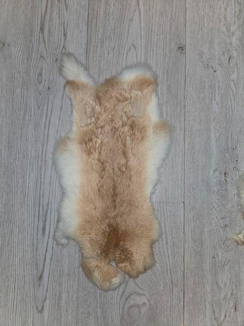 Konijnenvacht/konijnenvel, Verzamelen, Dierenverzamelingen, Zo goed als nieuw, Opgezet dier, Ophalen of Verzenden