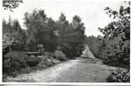 Holten- -Holterberg, wandelweg., Verzenden, 1940 tot 1960, Gelopen, Overijssel
