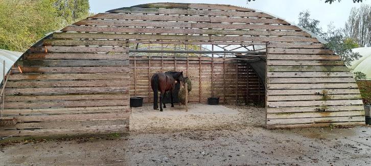 Stalling aangeboden in Sommelsdijk, Dieren en Toebehoren, Stalling en Weidegang, Stalling