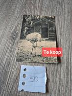 Blijdorp - nummer 50 tm 67 - Rotterdam, Ophalen of Verzenden