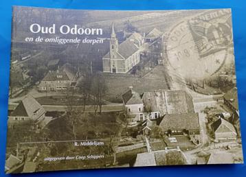 Oud Odoorn en de omliggende dorpen in oude Ansichtkaarten  beschikbaar voor biedingen