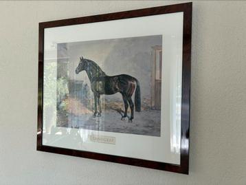 Notenhouten lijst met foto van een holsteiner. beschikbaar voor biedingen
