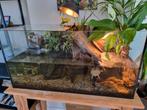 Compleet schildpadden aquarium/terrarium, Dieren en Toebehoren, Overige typen, Zoetwatervis