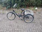 Driewieler fiets met mooie rek merk is Huskey-6 Tricycle, Ophalen of Verzenden, Zo goed als nieuw, Huskey-6 Alpina Popal Loekie Puky Woom Van Raam 2Cycle