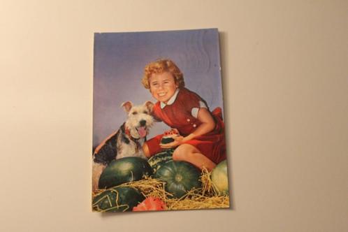 Honden Postkaart - Meisje en Foxterrier, Italië 1984, Verzamelen, Ansichtkaarten | Dieren, Gelopen, 1980 tot heden, Hond of Kat