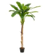 kunst banana tree 180cm, Huis en Inrichting, Kamerplanten, Ophalen of Verzenden, Halfschaduw, 150 tot 200 cm