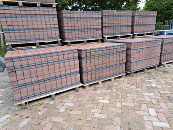Betonklinkers 8cm paars beschikbaar voor biedingen