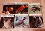 Artis Dieren Encyclopedie 6 delig 1969, Complete serie, Ophalen of Verzenden, Zo goed als nieuw, H. van de Werken