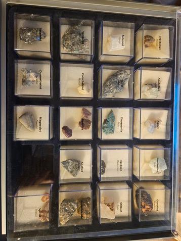 Mooie verzameling sierstenen en mineralen in display beschikbaar voor biedingen