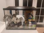Aquarium, Dieren en Toebehoren, Vissen | Aquaria en Toebehoren, Ophalen of Verzenden, Zo goed als nieuw, Leeg aquarium