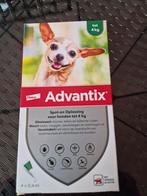 2 honden vlooien/teken pipets, Dieren en Toebehoren, Ophalen of Verzenden, Zo goed als nieuw