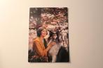 Honden Postkaart - Vrouw en Tricolor Schotse Collie, Italie, 1960 tot 1980, Ongelopen, Verzenden, Hond of Kat