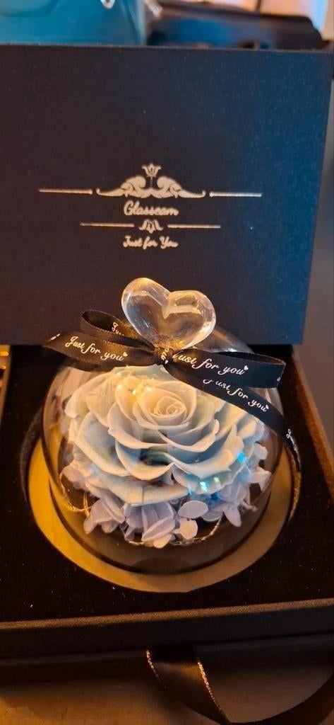 Nieuw in kado doos valentijn liefde blauwe roos in stolp, Ophalen of Verzenden, Nieuw