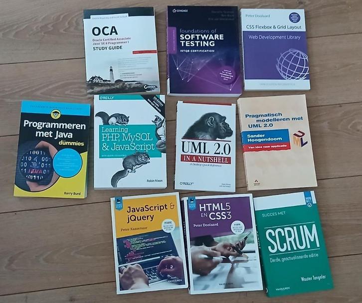 Studieboeken programmeren LOI, Boeken, Studieboeken en Cursussen, Nieuw, HBO, Beta, Ophalen