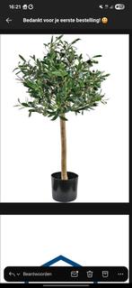 Olijfboom(kunst) 85 cm, Volle zon, Ophalen of Verzenden, 100 tot 250 cm, Olijfboom