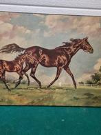 Schilderij prent paard en veulen vintage, Ophalen of Verzenden