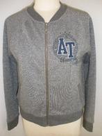AMERICA TODAY vest grijs glitter maat L, Kleding | Dames, Truien en Vesten, Maat 38/40 (M), Ophalen of Verzenden, Zo goed als nieuw
