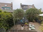 2 mooie Olijfbomen te koop, Tuin en Terras, Planten | Bomen, Ophalen, Volle zon, Olijfboom, 100 tot 250 cm