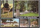 Ansichtkaart 	Appelscha	De Roggeberg 	RCN recreatiecentrum	5, Verzenden, 1980 tot heden, Gelopen, Friesland