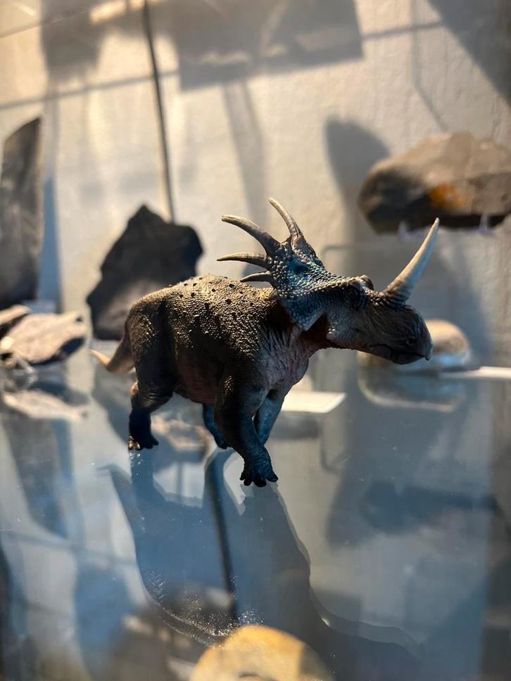 Haolonggood Styracosaurus 1:35 model, Verzamelen, Poppetjes en Figuurtjes, Nieuw, Ophalen of Verzenden