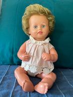 Schildkröt pop, Ophalen of Verzenden, Zo goed als nieuw, Pop